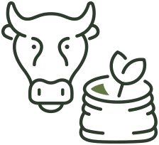 SaabFarms Natural Desi Feeding